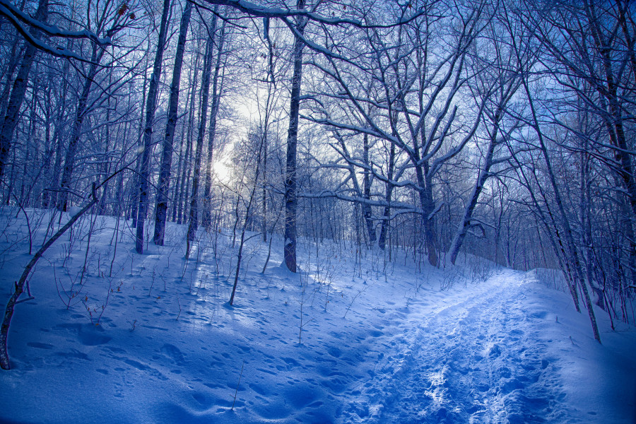 Nerstrand In Snow